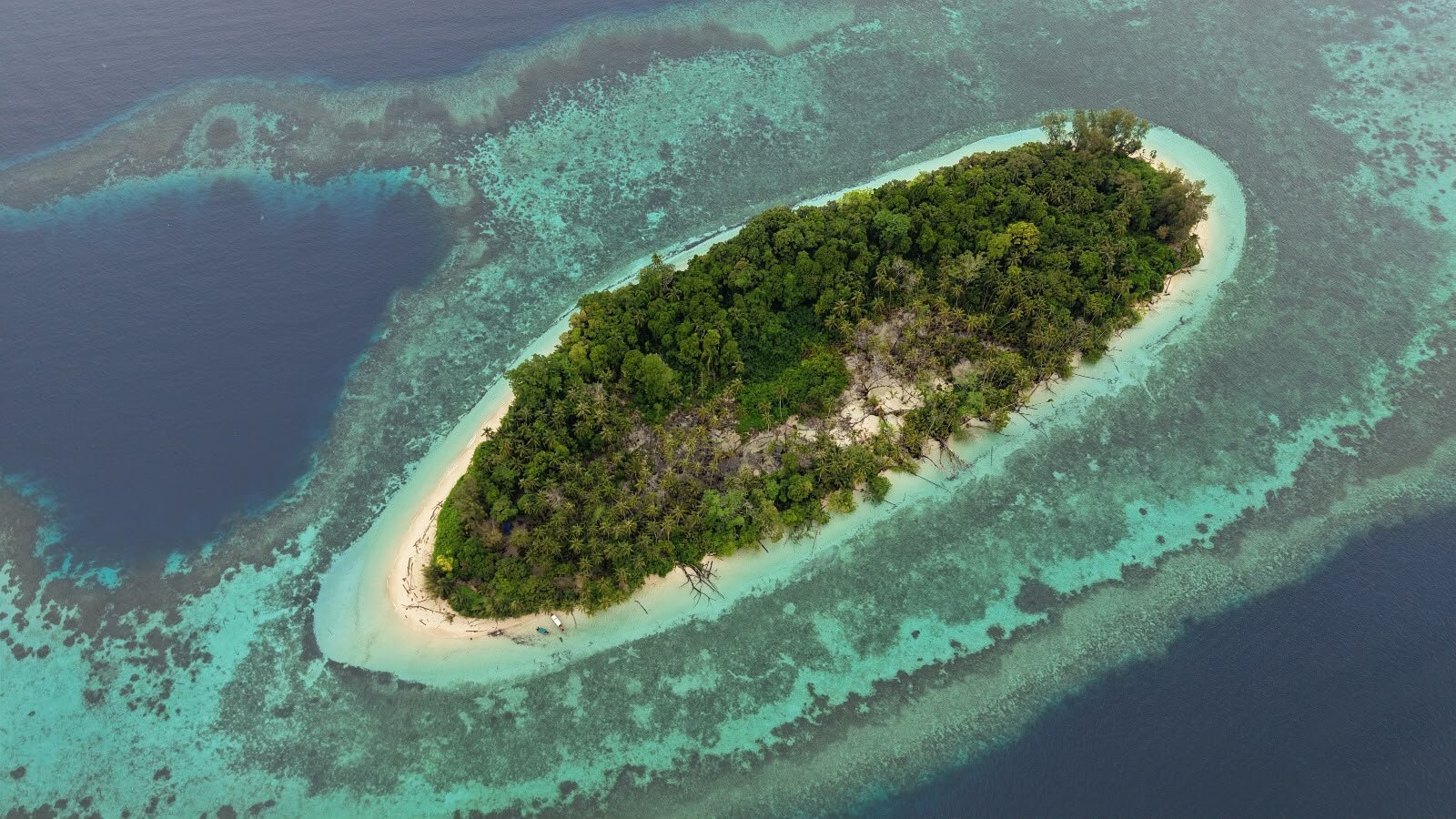 Album Pulau Pepaya