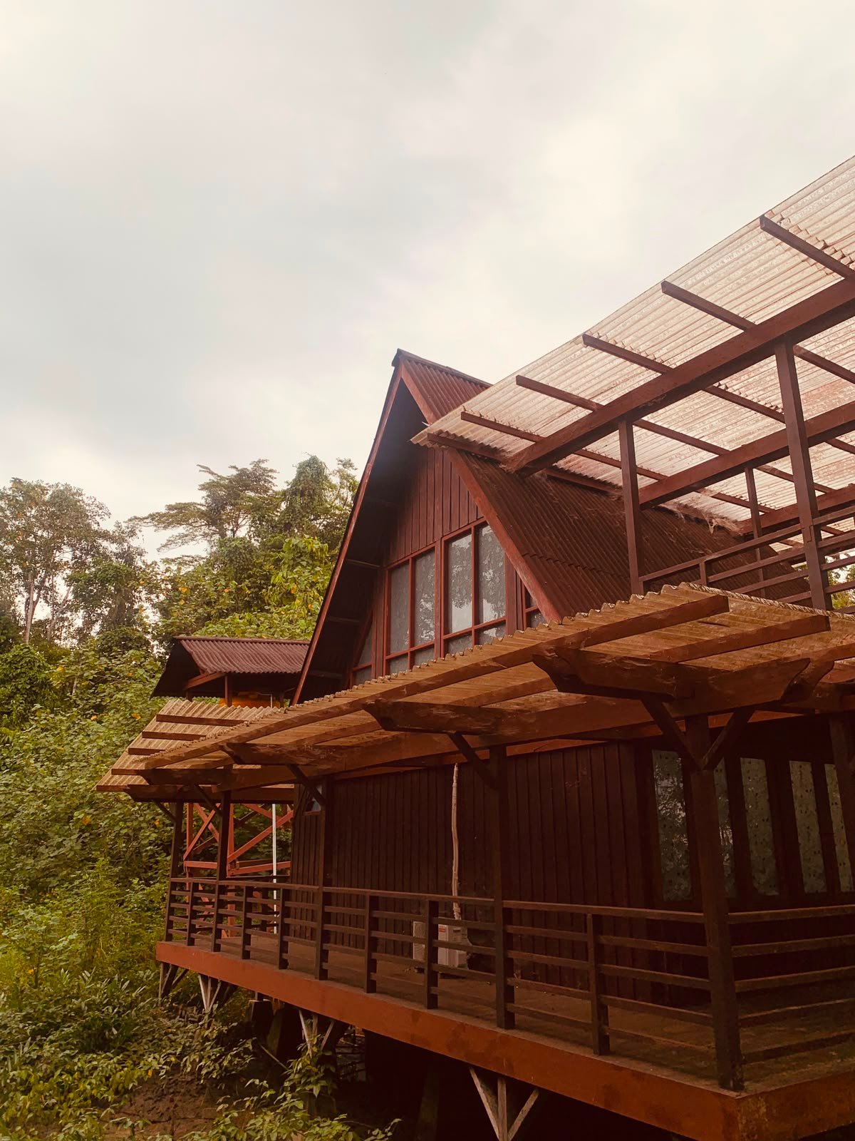 Album Hutan Mangrove
