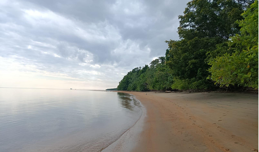 Album Pantai Sowa